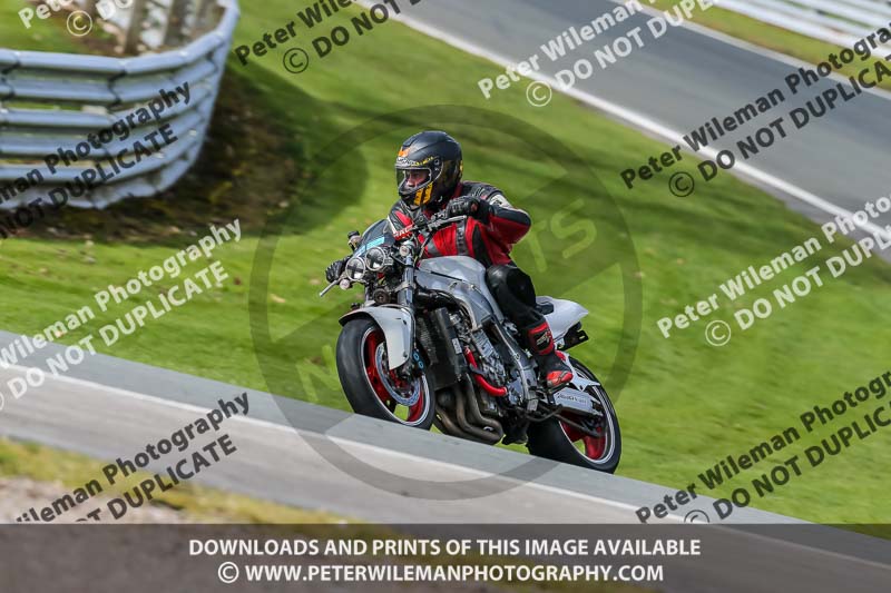 Oulton Park 21st March 2020;PJ Motorsport Photography 2020;anglesey;brands hatch;cadwell park;croft;donington park;enduro digital images;event digital images;eventdigitalimages;mallory;no limits;oulton park;peter wileman photography;racing digital images;silverstone;snetterton;trackday digital images;trackday photos;vmcc banbury run;welsh 2 day enduro